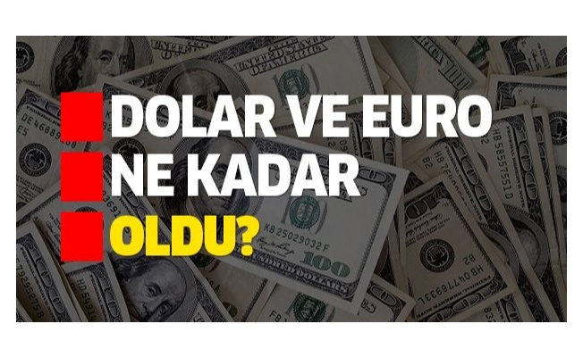 Kurlar Güne Nasıl Başladı?