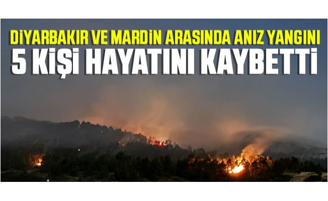 Diyarbakır ve Mardin arasında anız yangını