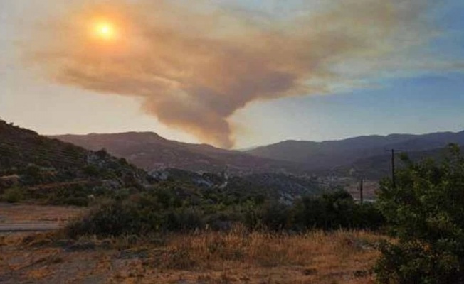 Limasol'da yangınlar kontrol altında